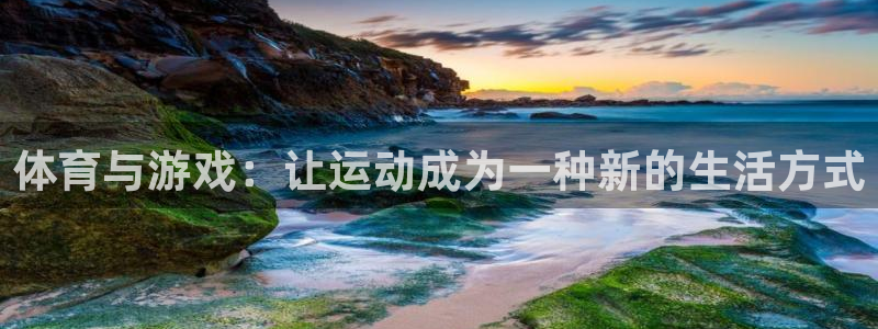 风速体育下载：体育与游戏：让运动成为一种新的生活方式