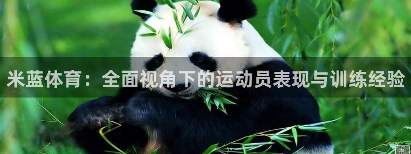 下载风速体育：米蓝体育：全面视角下的运动员表现与训练经验