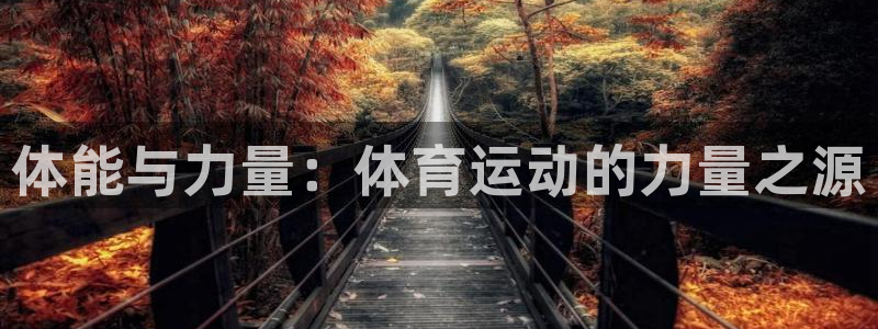 风速体育直播：体能与力量：体育运动的力量之源