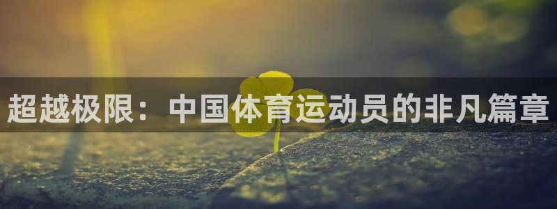 风速体育直播app：超越极限：中国体育运动员的非凡篇章