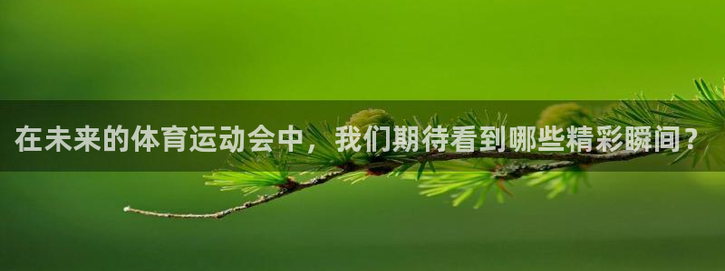 风速体育app：在未来的体育运动会中，我们期待看到哪些精彩瞬间？