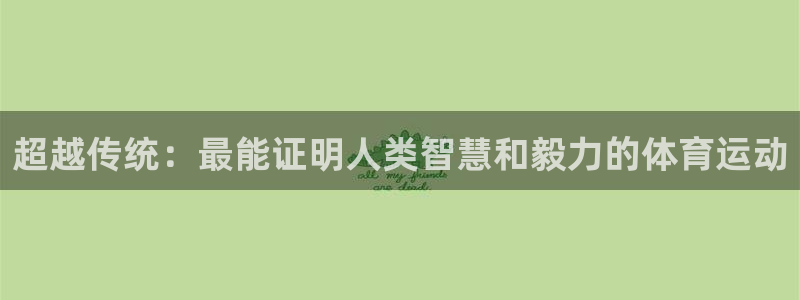 风速体育app官方下载：超越传统：最能证明人类智慧和毅力的体育运动