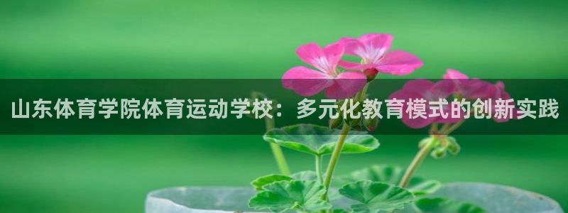 风速体育cba直播：山东体育学院体育运动学校：多元化教育模式的创新实践