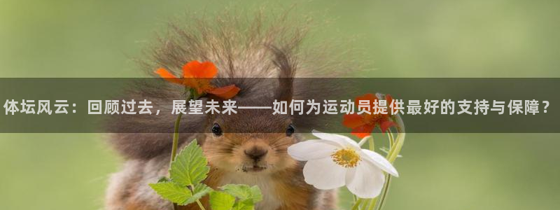 风速体育直播app：体坛风云：回顾过去，展望未来——如何为运动员提供最好的支持与保障？