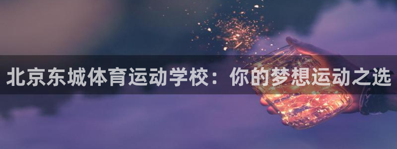 风速体育app下载安装最新版本：北京东城体育运动学校：你的梦想运动之选
