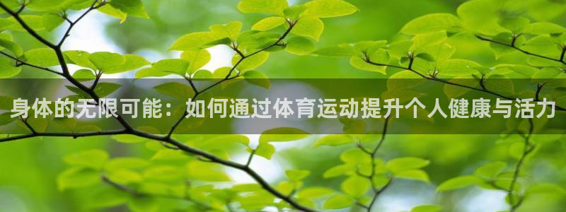 风速体育直播app：身体的无限可能：如何通过体育运动提升个人健康与活力