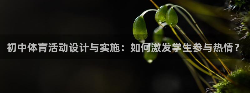 风速体育下载：初中体育活动设计与实施：如何激发学生参与热情？