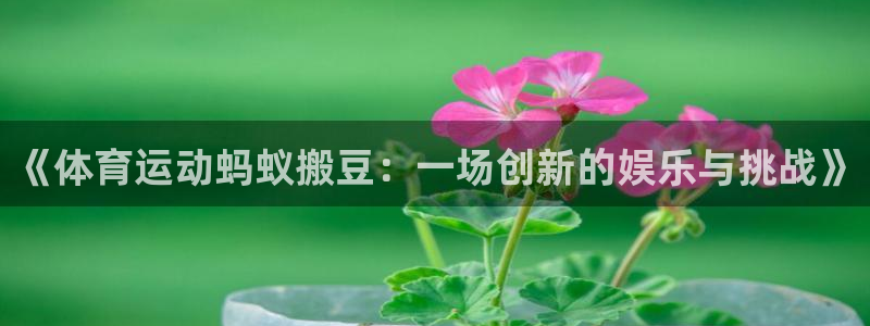 风速体育：《体育运动蚂蚁搬豆：一场创新的娱乐与挑战》