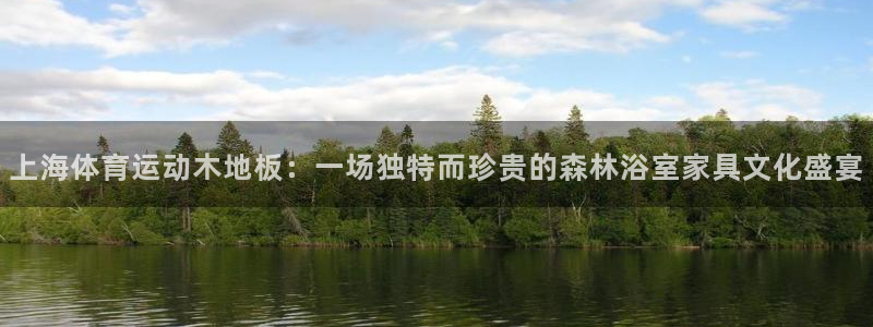 下载风速体育：上海体育运动木地板：一场独特而珍贵的森林浴室家具文化盛宴