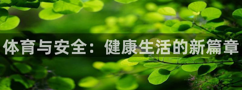 风速体育直播app：体育与安全：健康生活的新篇章