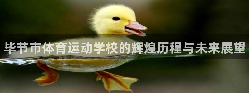风速体育nba直播：毕节市体育运动学校的辉煌历程与未来展望