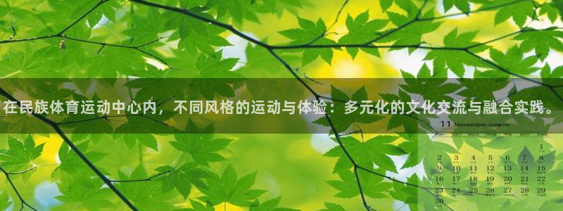 风速体育cba直播：在民族体育运动中心内，不同风格的运动与体验：多元化的文化交流与融合实践。