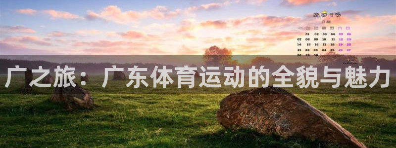 下载风速体育：广之旅：广东体育运动的全貌与魅力