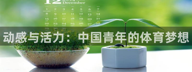 风速体育cba直播：动感与活力：中国青年的体育梦想