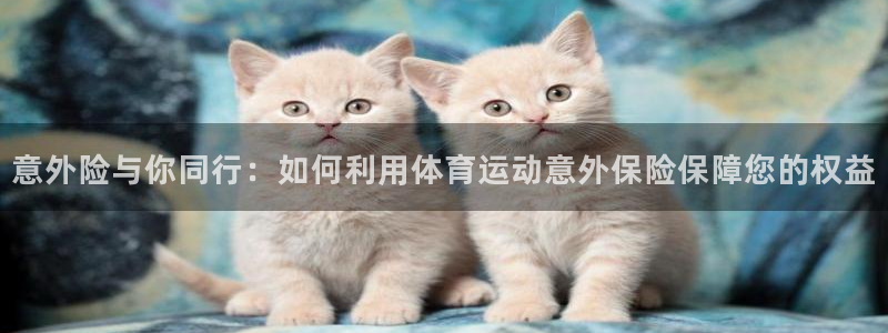 风速体育：意外险与你同行：如何利用体育运动意外保险保障您的权益