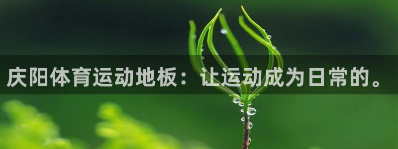 风速体育下载：庆阳体育运动地板：让运动成为日常的。