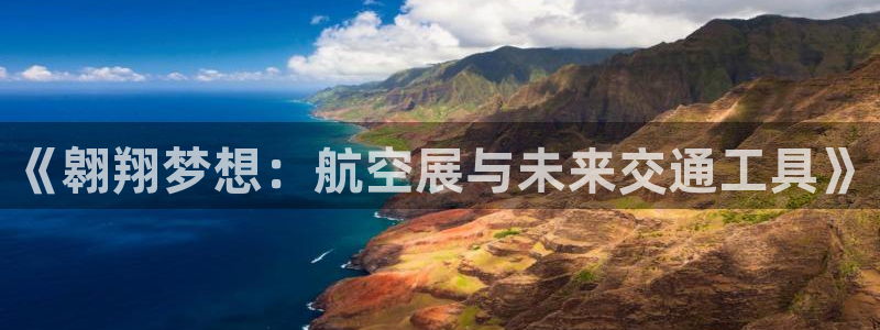 下载风速体育：《翱翔梦想：航空展与未来交通工具》